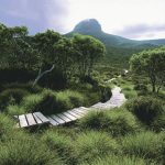 Walking Tours And Hiking Trips In Australia And New Zealand